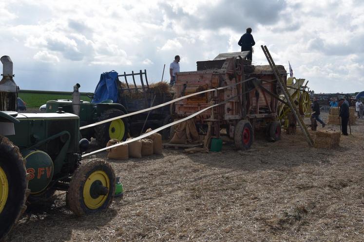 Pour les nostalgiques, démonstration d’un autre temps : la moisson à l’ancienne.