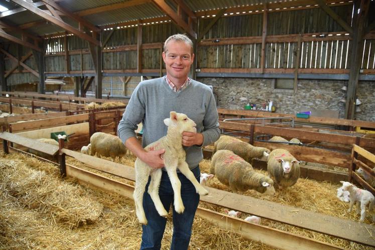 Saint-Barthélémy, jeudi 14 septembre. Nicolas Roch est éleveur d’ovins de race Ile-de-France. Il commercialise en direct soit en caissette, soit des carcasses entières.