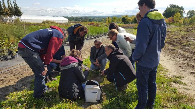 A Vert-le-Grand (Essonne), le 19 septembre. Le groupe Dephy horti-pépi a passé la journée avec une entomologiste pour se familiariser avec les différentes familles d’auxiliaires. 