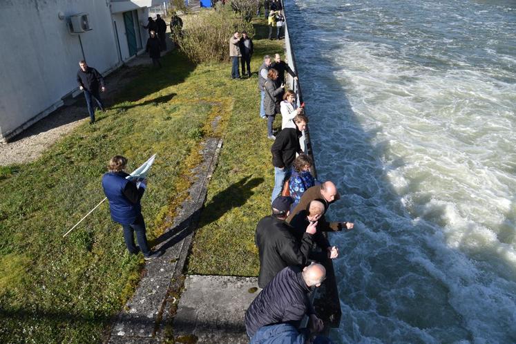 Au pied du barrage dont ils demandent l’ouverture plus importante des vannes afin de permettre à l’eau de s’écouler de leurs parcelles.