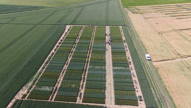 Située cette année à Prunay-le-Temple (Yvelines), la plate-forme ouest sera ouverte aux agriculteurs le 5 juin.