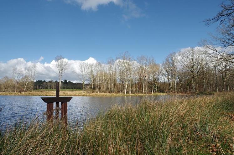 La Sologne est un espace très riche sur le plan biologique et écologique.