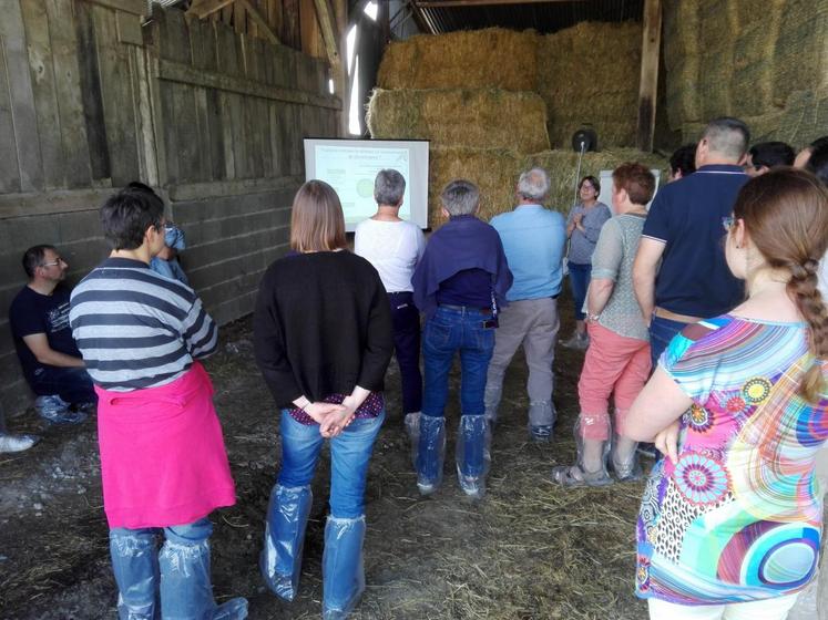 Les éleveurs bovins laitiers du Loir-et-Cher et de l’Eure-et-Loir se sont retrouvé jeudi 7 juin à Boursay, lors de la journée laitière.
