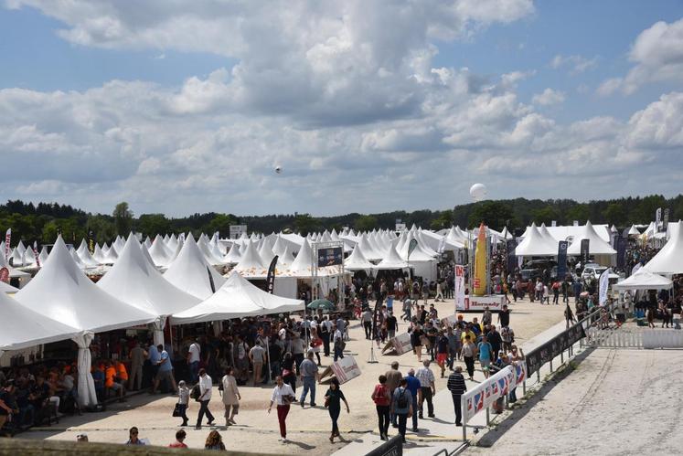 Le 17 juin à Lamotte-Beuvron. Le Game Fair est aujourd’hui la plus grande vitrine de la chasse en France avec près de 530 exposants et 82 000 visiteurs.