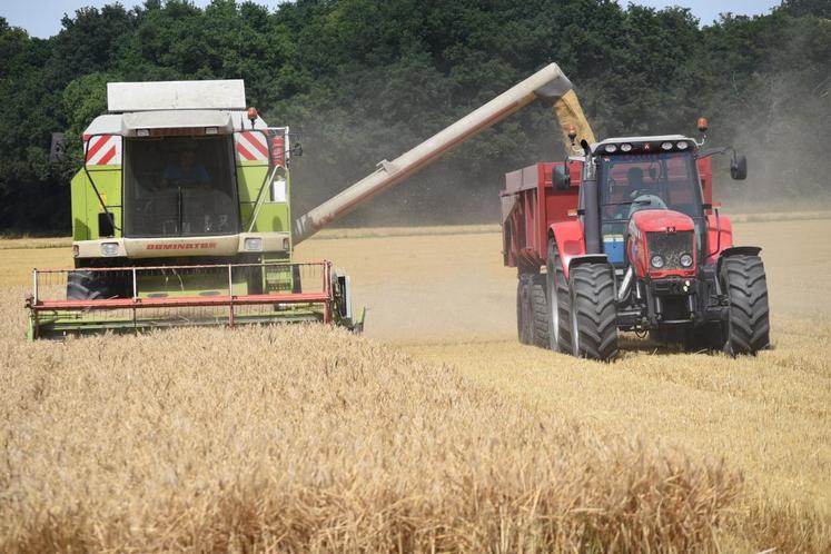 Orge, colza, blé... aucune culture ne semble déroger à la règle cette année : les rendements sont moyens mais la qualité est bien au rendez-vous. 