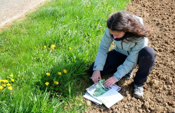 Laura Moutfi a étudié ainsi environ trente neuf kilomètres de bordures pour en caractériser le type, établir un diagnostic et proposer des préconisations.