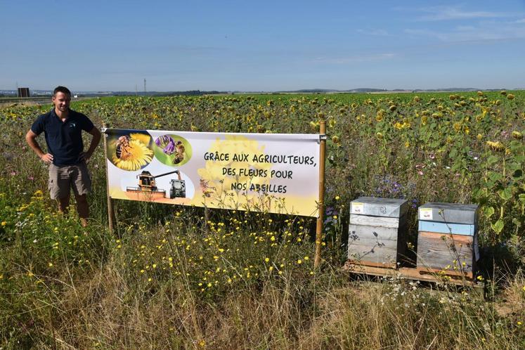 Le Plessis-Placy, mercredi 1er août. Le président du canton de Lizy-sur-Ourcq, Jean-Baptiste Benoist, présente un exemple de jachère mellifière et de ruches implantées à proximité d’axes routiers.