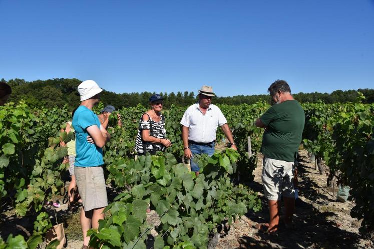 Le 2 août à Saint-Romain-sur-Cher. Guidés par le viticulteur François Desloges, les visiteurs ont découvert le Domaine du Chapître situé sur les coteaux du Cher.