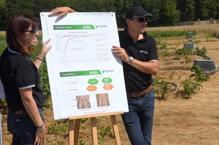 Le 11 juillet, à Sours (Eure-et-Loir). La société Philagro a invité les agriculteurs à son Potato show, afin de visiter une série d’essais agronomiques portant sur la lutte contre le mildiou et l’optimisation du défanage.