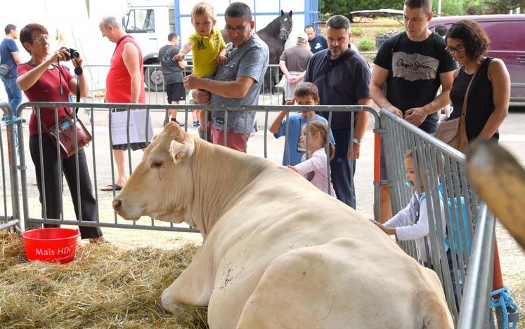 Du 6 au 9 septembre à Chartres, les animaux de la ferme investiront le Compa.