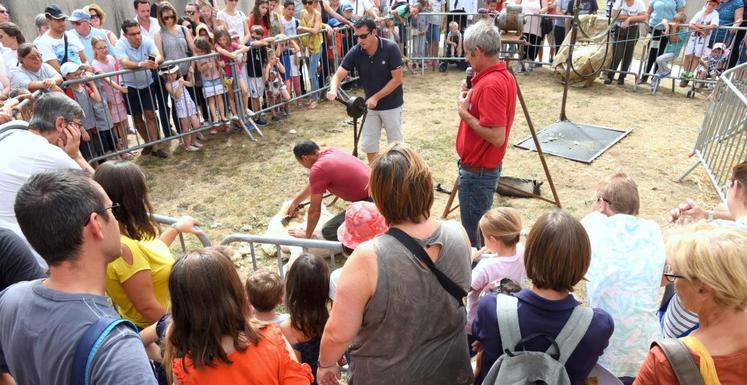 Le 9 septembre, à Chartres. Le public a assisté en nombre aux démonstrations de tonte de moutons réalisées par Thierry Deschambres.