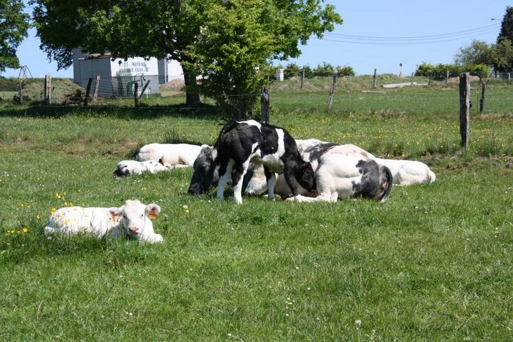 Photo d'illustration