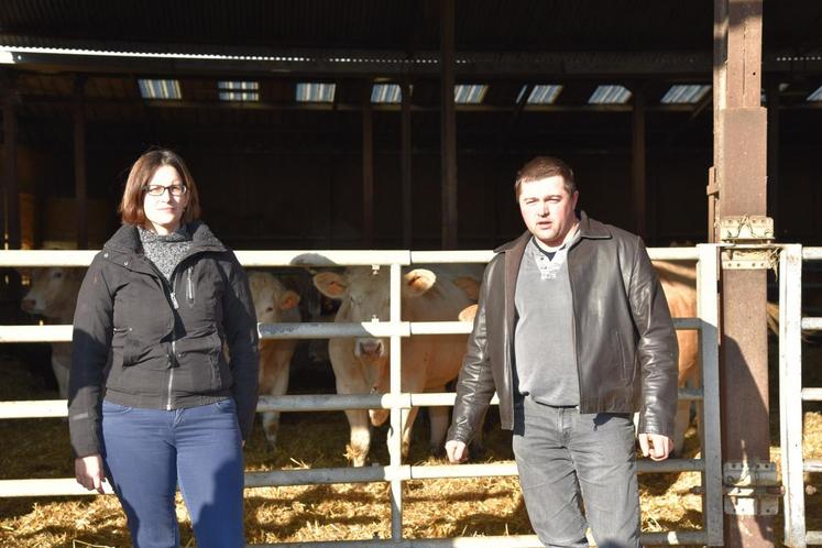 Le 21 novembre à Saint-Martin-des-Bois. Une vingtaine d’éleveurs ont participé à la journée départementale bovin allaitant.