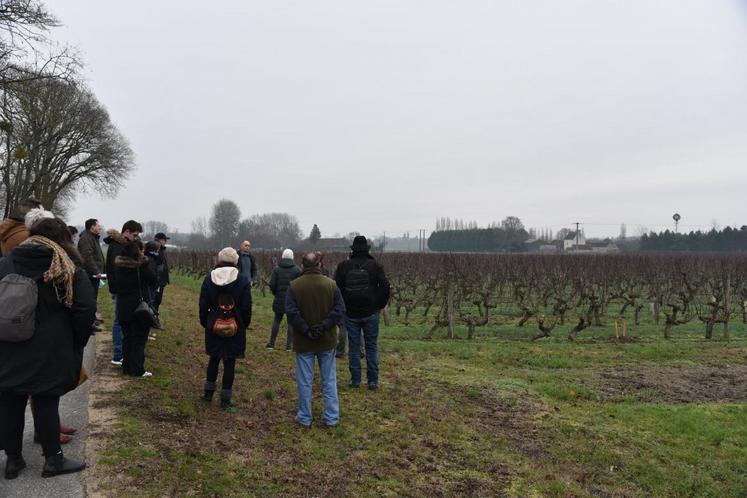 Le 11 janvier à Cheverny. François Cazin a expliqué à une vingtaine de demandeurs d’emploi le poste de tailleur de vigne dans le cadre du projet Métiers de la vigne en Val de Loire.