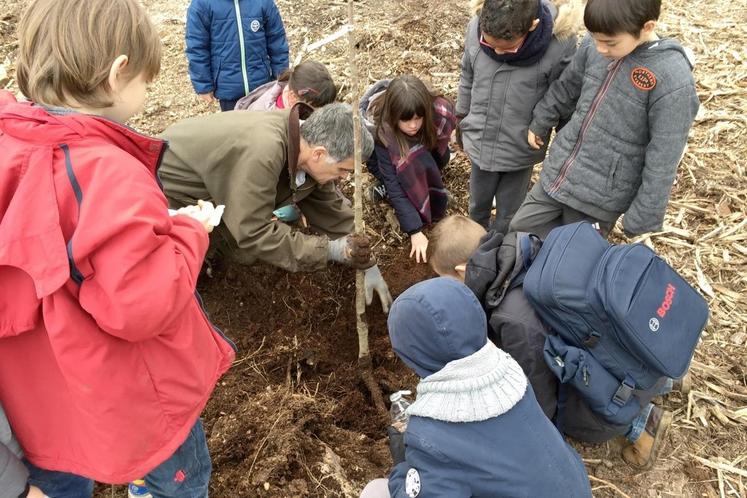 Le 20 mars, à Épernon. Les enfants de l’accueil périscolaire Louis Drouet ont planté quelques arbres sous la houlette du Syndicat des forestiers privés.