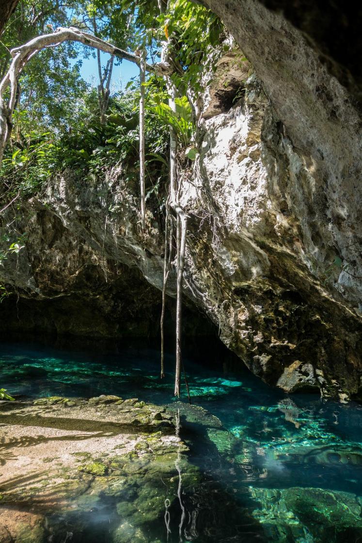 Oxman cenote, 2017, Andrea Schaffer -  licence CC BY 2.0