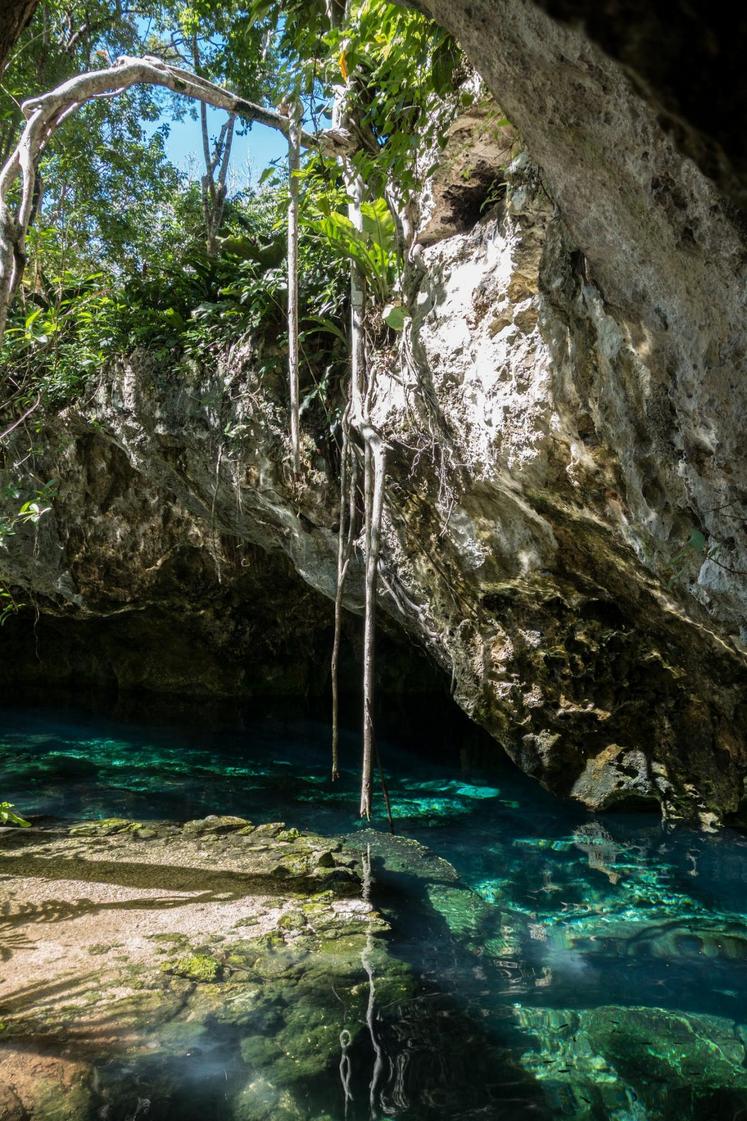 Oxman cenote, 2017, Andrea Schaffer -  licence CC BY 2.0