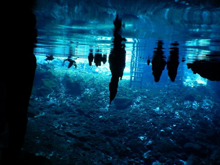 Photo : Martin M. Hernandez Tena