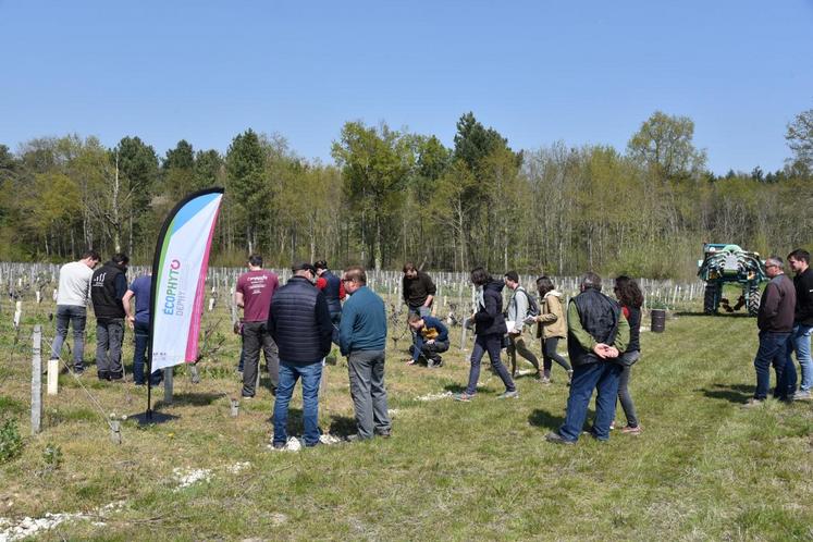 Le 12 avril à Meusnes. Travail du sol et engrais verts ont été les deux sujets abordés lors de l’après-midi technique, organisée par les groupes GIEE-Dephy-30.000 de la chambre d’Agriculture de Loir-et-Cher.