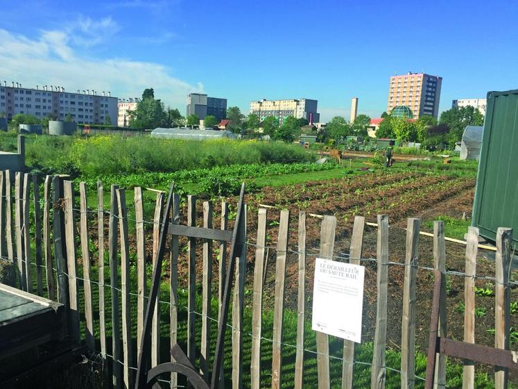 La Ferme ouverte est directement voisine des cités de Saint-Denis et Stains. Le parcours extérieur permet de découvrir des matériels anciens et les deux hectares de production. Un espace avec des animaux et une aire de pique-nique viennent compléter la visite.