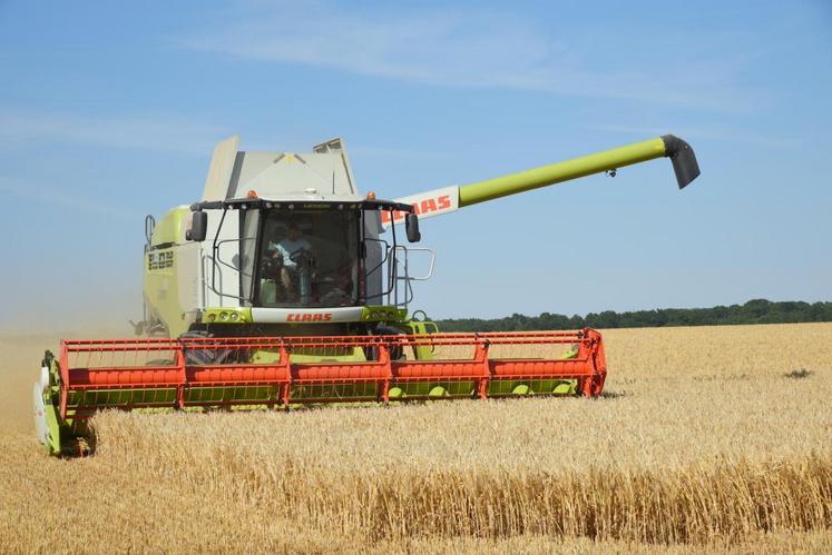 Le 26 juin, à Charonville. La moisson est bien entamée en Eure-et-Loir et les agriculteurs tendent le dos, craignant une récolte catastrophique.