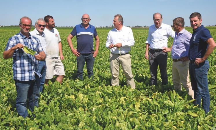 Les responsables de Cristal Union, son président Olivier de Bohan en tête (au c.) sont venus à la rencontre de planteurs du secteur de Toury chez Éric Delorme (à g.).
