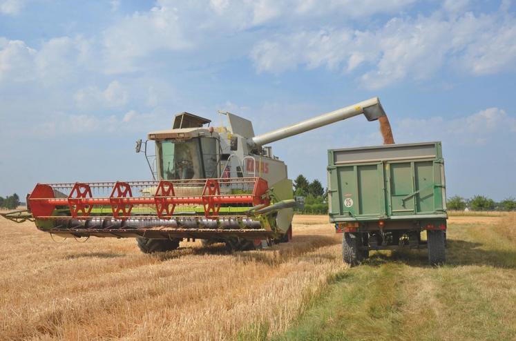 En blés tendres, les minimums observés sont un peu plus élevés, autour de 50 q/ha et les maximums au-delà des 100 q/ha.
