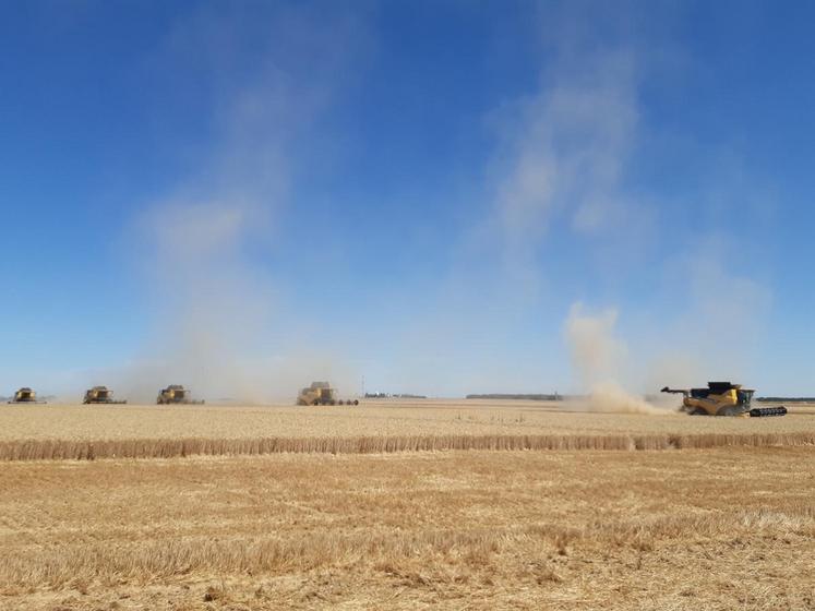 Les cinq moissonneuses ont paradé face au public : la CR	10.90, la CR 8.90, la CR 7.90, la CR 7.80 et la CX 8.70 (© Groupe Lecoq).
