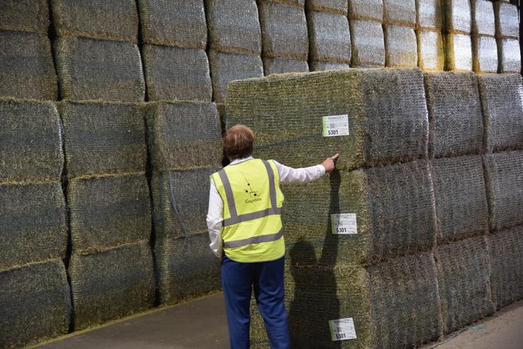 Les nouveaux hangars de stockage sont déjà sortis de terre. La luzerne déshydratée est un produit normé et tracé, chaque balle dispose d’une étiquette. 