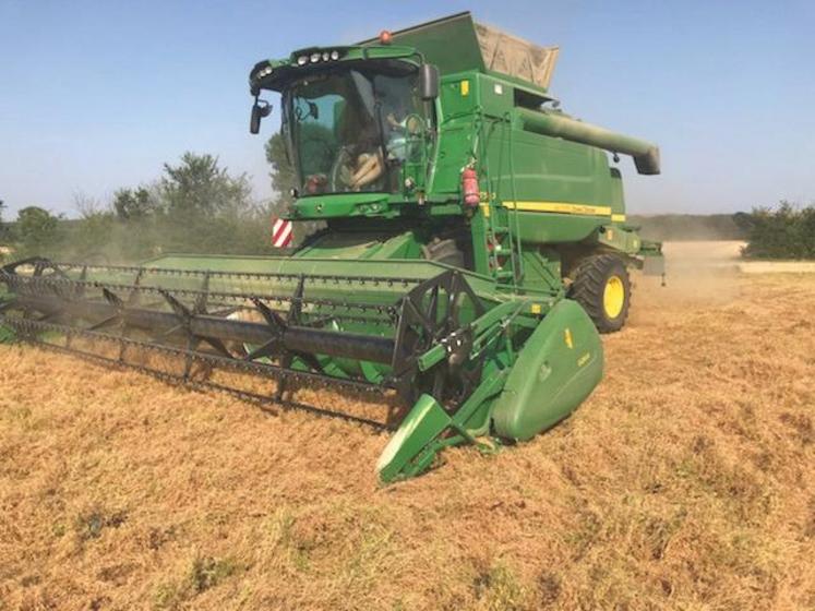 En raison des conditions météo, la moisson des lentilles a eu quelques jours d’avance. Le rendement a été de 700 kg par hectare.
