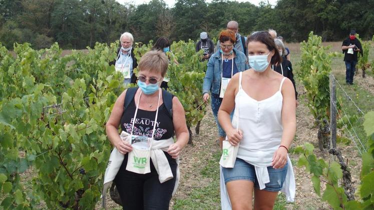 Trois pauses dégustations figuraient au programme. Ici, quatre vins blancs secs, du fromage de chèvre et du fromage au lait de vache étaient proposés aux ­randonneurs. 
