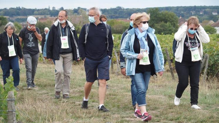 Cédric Chollet, président du Syndicat des vins de Touraine-Mesland.