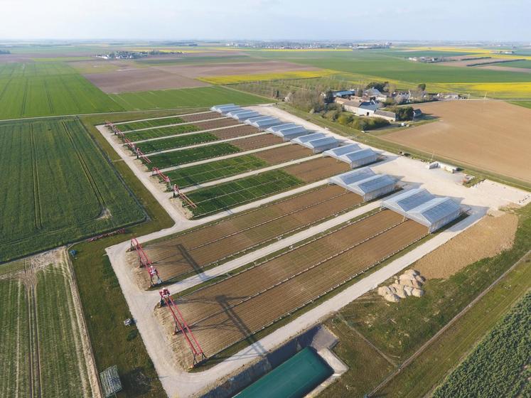 Une vue aérienne de la plate-forme PhénoField, basée dans la commune ­d’Ouzouer-le-Marché, en Loir-et-Cher. © Antoine Pellé, Arvalis
