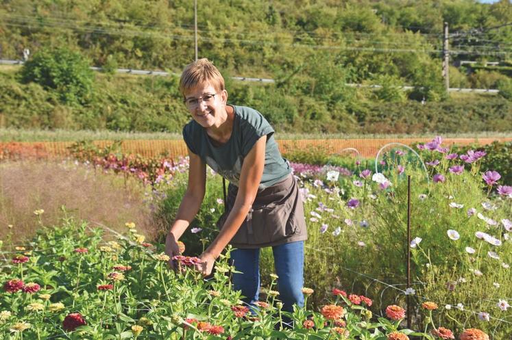 La Grande-Paroisse, lundi 31 août. Isabelle Chanclud travaille dans sa ­parcelle florale.