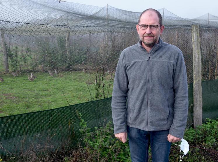 Le 9 novembre, à Écublé. Le petit gibier qu\'élève Thibault Pelletier 
est confiné du fait de l\'interdiction de la chasse, ce qui conduit ce secteur droit dans le mur.