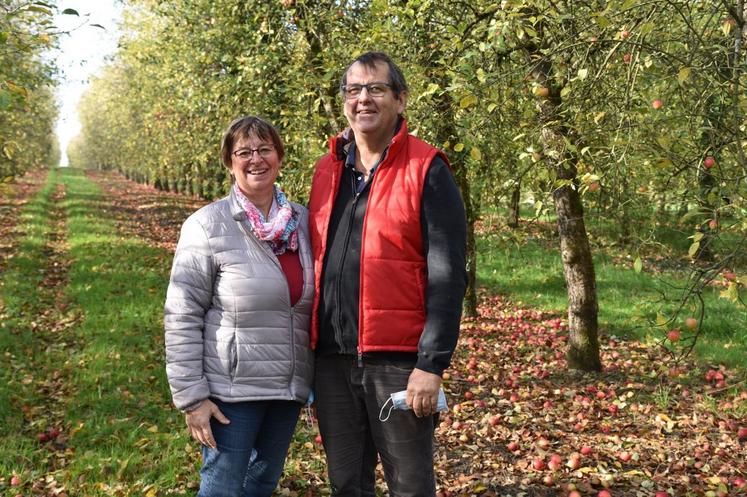 Giremoutiers, lundi 9 novembre. La récolte des pommes du verger (environ 700 arbres par hectare), abondantes en 2020, se poursuit jusqu\'au 20 novembre environ.