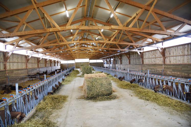 Accueillir un élevage de chèvre dans sa bergerie