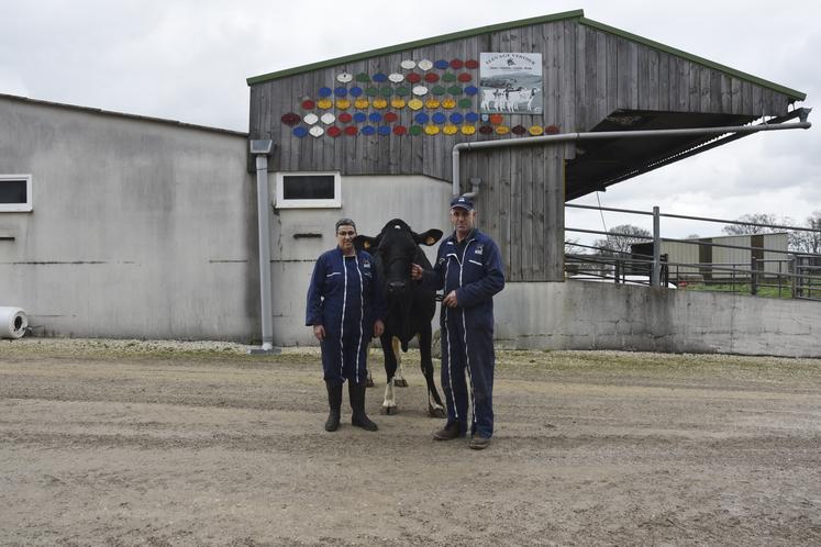 Ivoire (Atwood X Lanugo Cel) de l'élevage de Bruno Verdier qui représentera le Loir-et-Cher pour la race prim'holstein.