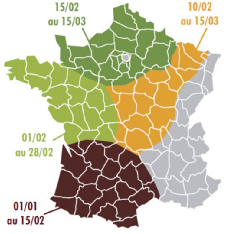 Les dates de semis optimales par région.