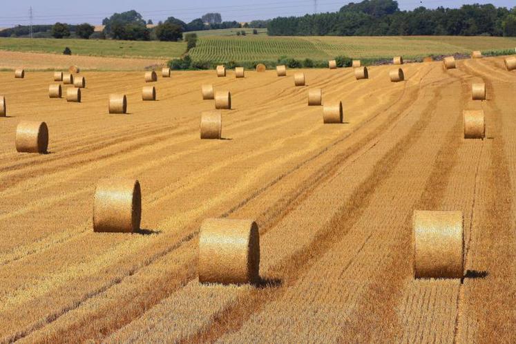Le syndicat Jeunes Agriculteurs du Loiret a appelé les EPCI à voter en faveur d’un dégrèvement temporaire de la TFPNB pour aider au renouvellement des générations en agriculture.