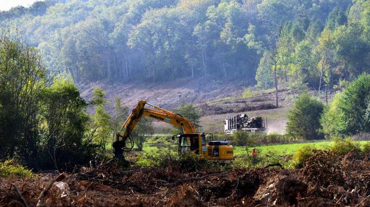 Un engin de chantier déployé sur la zone humide du Testet (Tarn), où doit être construit le barrage de Sivens.