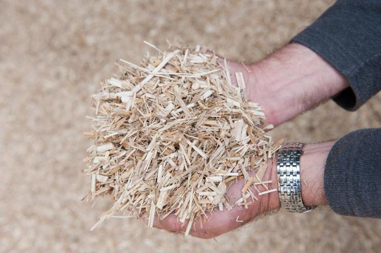 Produit de paillage ou litière à base de miscanthus.