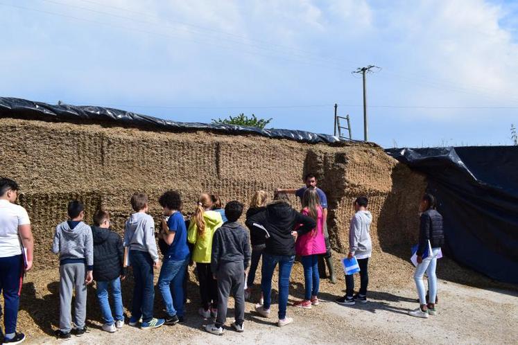Didier Doreau a reçu 5 classes de 6e sur son exploitation