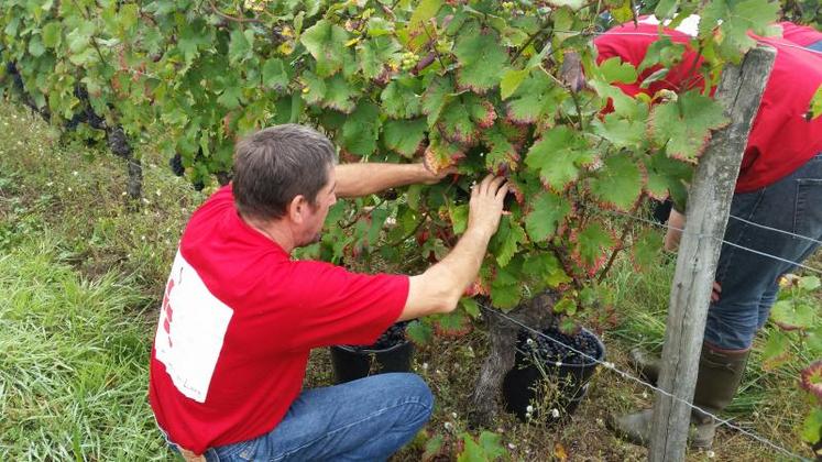 Valérie Deneufbourg, président du syndicat des vins AOC en pleine action !