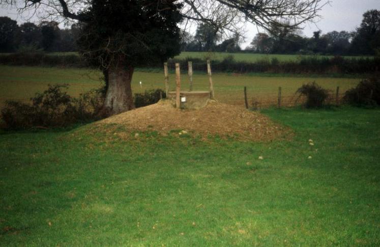 En retenant l’hypothèse d’un taux de 10 % d’implantation de ces cultures énergétiques lignocellulosiques sur ces ces zones spécifiques de captage en France, le potentiel est de 180 000 hectares.