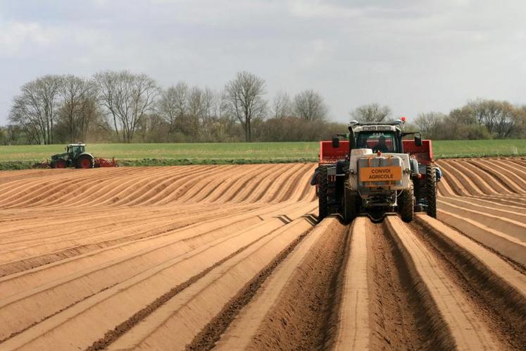 Préparation et plantation de pomme de terre.