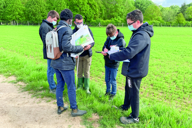 Le 21 mai, à Sours. Largeur de la bordure, espèces cultivées sur la parcelle, pourcentage de sol nu, espèces qui la composent et leur quantité, rien n'échappe aux élèves de l'Eplefpa de La Saussaye lors de leur diagnostic.