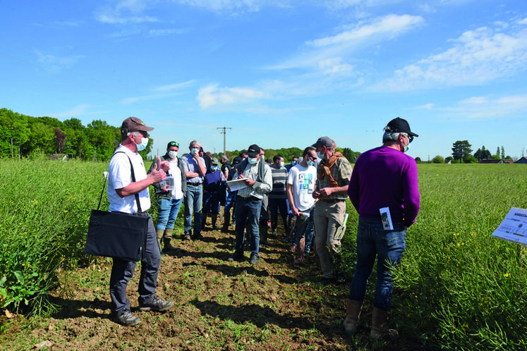 Vendredi 28 mai, à Chuelles. Les agriculteurs découvrent les résultats des essais variété sur du colza.