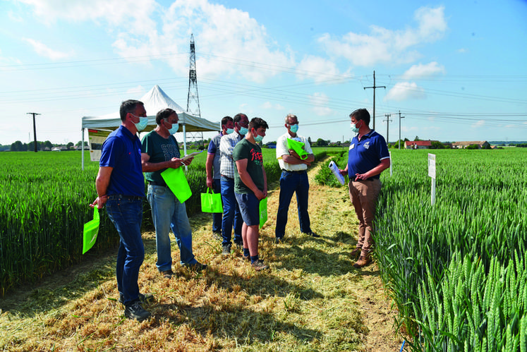 À Mondreville (Yvelines), jeudi 3 juin. Toute la matinée, les conseillers ­techniques de la chambre d’Agriculture se sont employés à décrypter les essais pour les agriculteurs. 