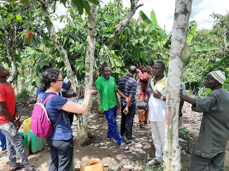 Discussion avec les producteurs de cacao pour connaître leurs méthodes de travail.